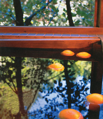 The Japanese bathing ritual has four steps. Seated on a low stool, the bather uses a bucket to rinse away dirt with hot water scooped from the prepared bath, then descends into the tub for a first soak. Reemerging, the bather sits on the stool and scrubs with soap and loofah, then rinses thoroughly. The final step is a relaxing, second soak in the tub. Traditional baths call for an outdoor setting or a room that opens to the outdoors.
